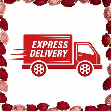 Express Shipping